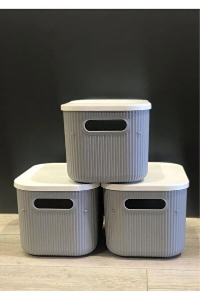 Bayev 6 Pieces 6Lt Gray Multi-Purpose Closet Organizer Box with Lid