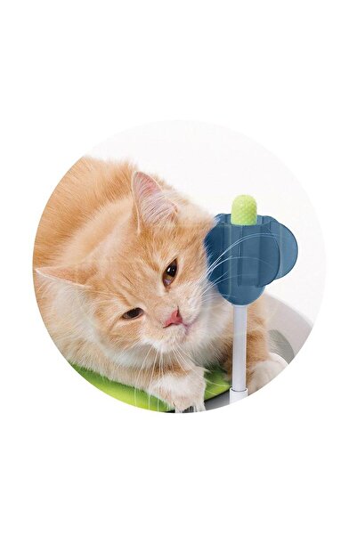 Catit Kedi Oyuncaklı Dinlenme Bölgesi Ve Yatak