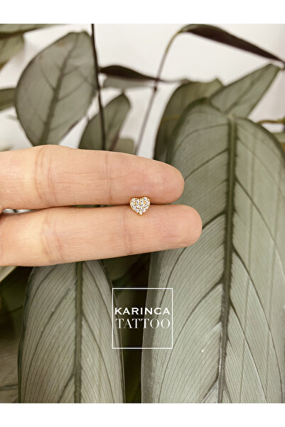 Karınca Piercing Kalp Taşlı Elit Cerrahi Çelik Piercing 6 mm Kulak Flat Forward Helix Kıkırdak Tragus Küpe