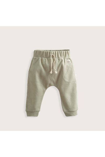 Chakra Safari Sweatpants Mint