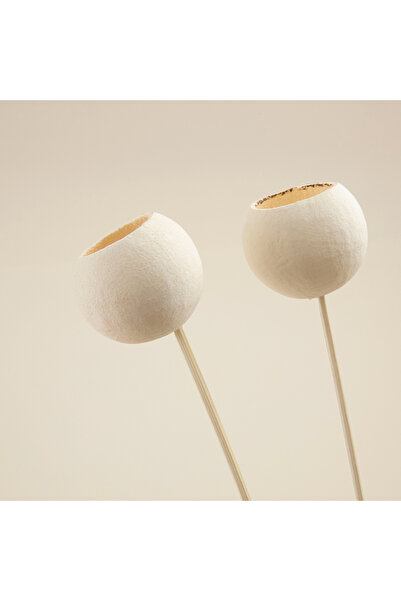 Chakra Nathalie Demet Kuru Çiçek Beyaz