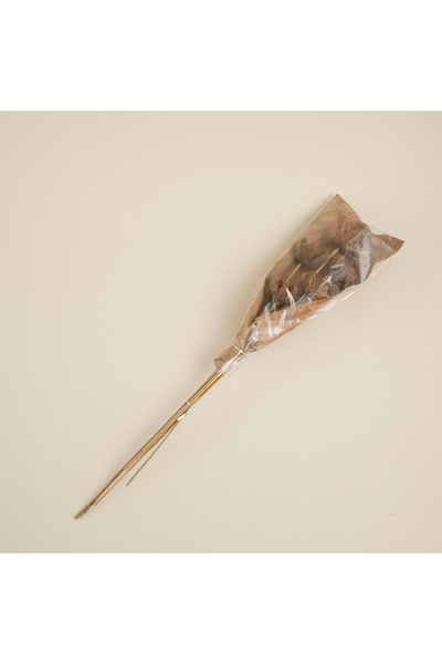 Chakra Jayla Demet Kuru Çiçek Natural