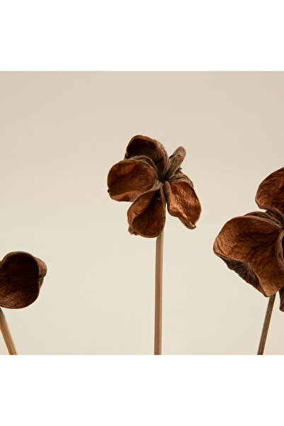 Chakra Tatum Demet Kuru Çiçek Natural