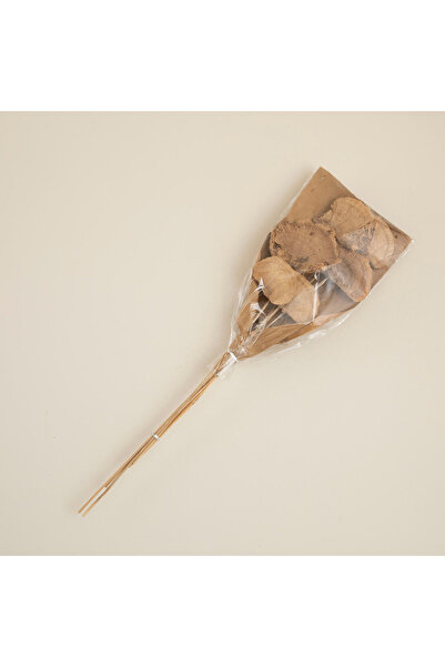 Chakra Semsa Demet Kuru Çiçek Natural