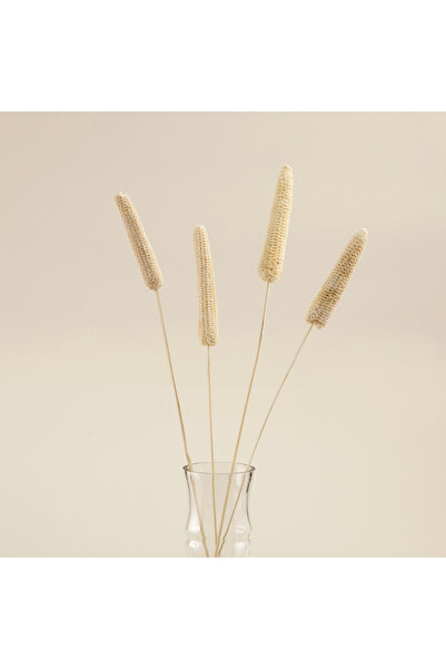 Chakra Lori Demet Kuru Çiçek Natural