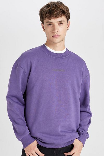 DeFacto Lila Boxy Fit Rundhalsausschnitt bedrucktes Sweatshirt V5306az24au