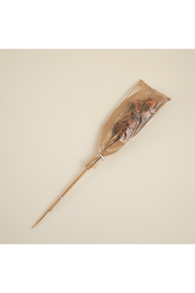 Chakra Tatum Demet Kuru Çiçek Natural