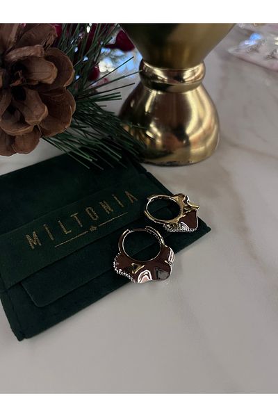 Miltonia Round Asymmetrical Modern Steel Earrings