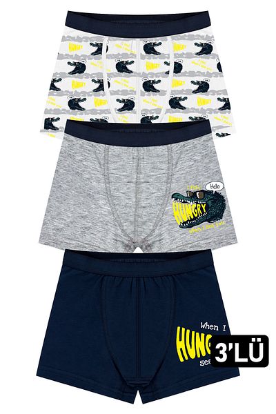 Öts Boy's 3-Piece Colorful Printed Cotton Lycra Boxer