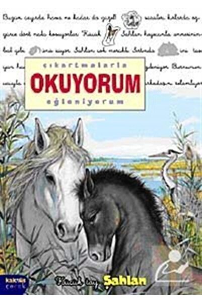 Kaknüs Yayınları شاهلان / أقرأ وأستمتع بالملصقات