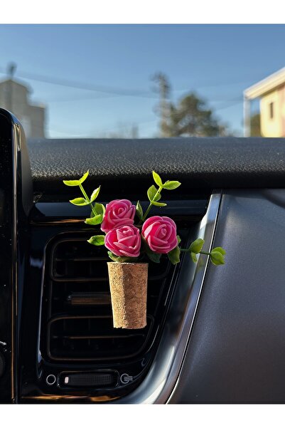 Plantarrium Design Oto Aksesuar/Koku- Mini Mantar Buket "Pembe Sarmaşık"