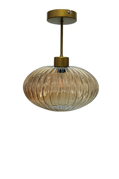 Fer Avize Icon Single Chandelier Cafe Hall Living Room Retro Custom Glass Design