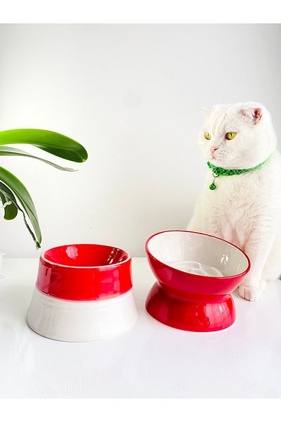 stilinbu Ceramic Slow Eating Food Bowl/ Colorful Moon Model (Red White & Colorful Moon- 2-Piece)