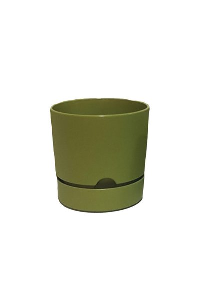 Poliwork Avantajlı Set 5 Adet Begonya 12 Cm Tabaklı Saksı Yosun Yeşili 1 Lt