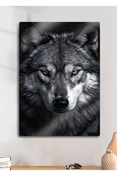DekorHane Alfa Kurt - Metal Baskı Duvar Tablosu