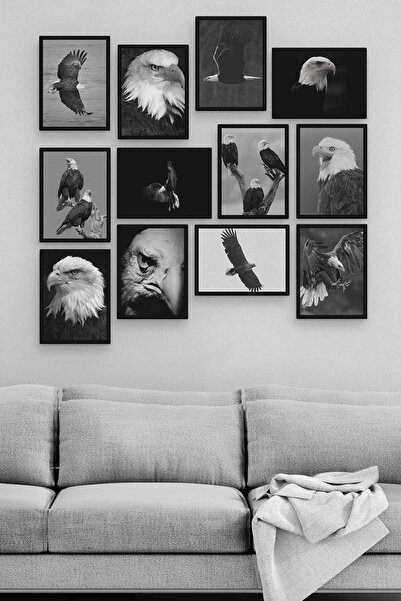 TABLOX Kartal 12 Parça Ahşap Mdf Tablo Zlltb191