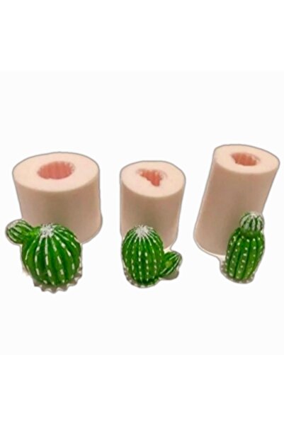 morlalem m 3 Boyutlu 3'lü Mini Kaktüs Silikon Kalıp Seti K-1410, Taş Tozu Sab...