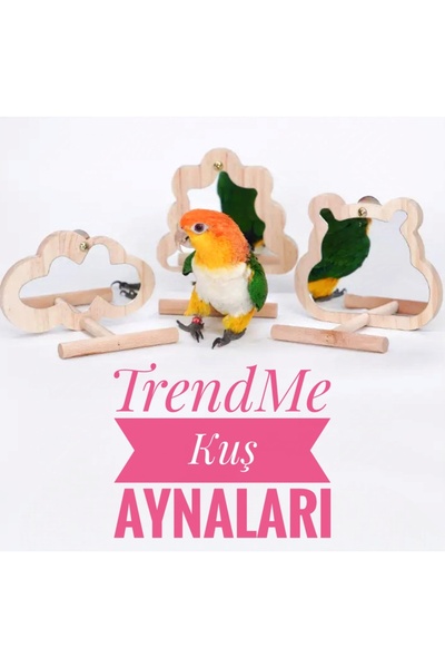 UniqBirdToys Wooden Cloud Shaped Handmade Perching Bird Mirror