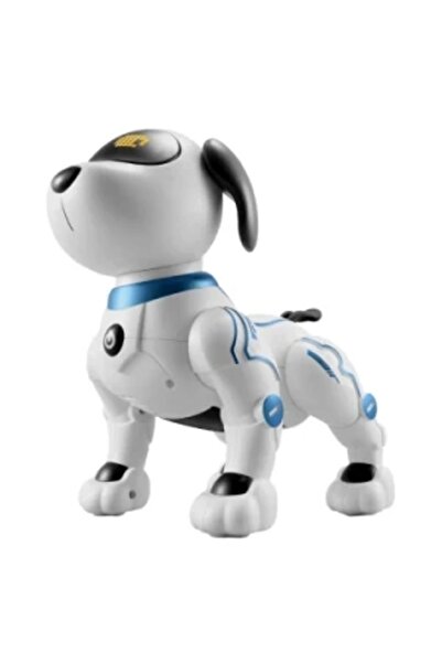 CanEm Etkileşimli Dans Eden Robot Köpek "k16"