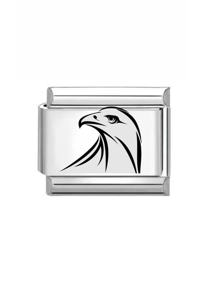 MOD10 Steel Eagle Head with Charm