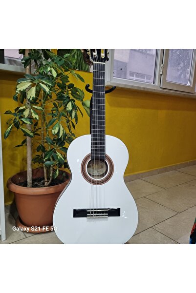 VALENCIA KLASIK GİTAR 3/4 (kılıf+pena)