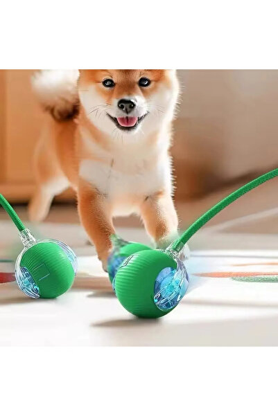 mywarehouse Yeni Nesil Hareketle Aktifleşen, Sensörlü Akıllı Kedi & Köpek Topu