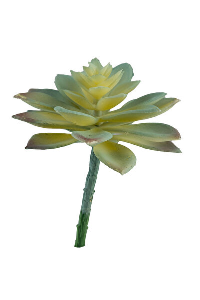 Dekorsende Suculentă artificială Echeveria mini cu carne verde deschis 12 cm