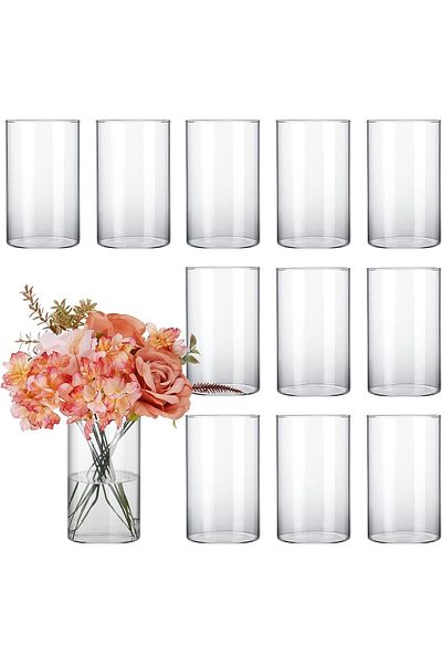 Home Zone Set of 12 Clear Glass Cylinder Vases 7 Inch (18 cm) Tall Flowers Vases