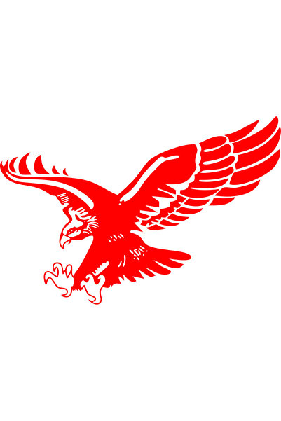 Birim Matbaa Eagle Front Hood Auto Sticker(16X25Cm)