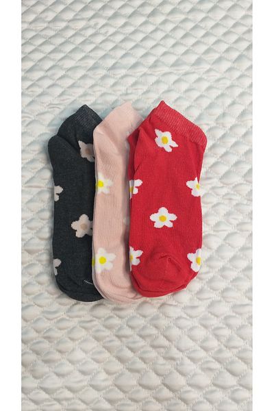 Bross Tulip 100% Cotton Flower Pattern Printed 3-Piece Women's Step Socks