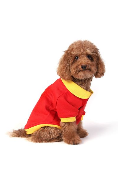GTB Pet Dog Dress, Dog Outfit, Dog Hoodie, for Small Breed Dogs and Cats