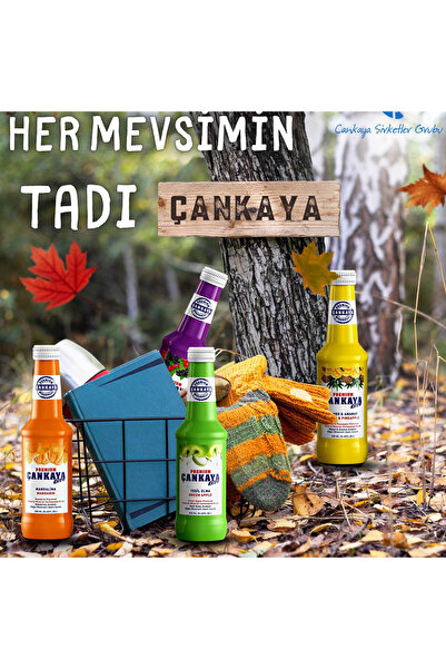 Çankaya Çankaya Santa Maria 250 ml (6 adet)