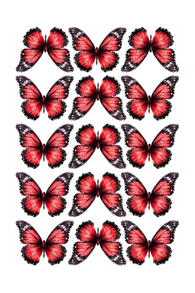 EyER Shoping Kelebek Buketi Için Parlak Kalın 220gr Fotoğraf Kağıdı BÜYÜK BOY...