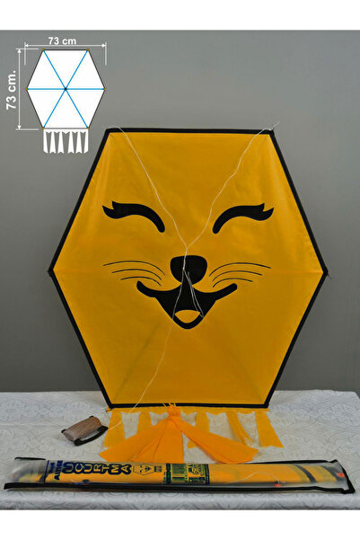 GÜLEN UÇURTMA KUMAŞ ÇERÇEVELİ ALTIGEN UÇURTMA ORTA BOY / KEDİCİK