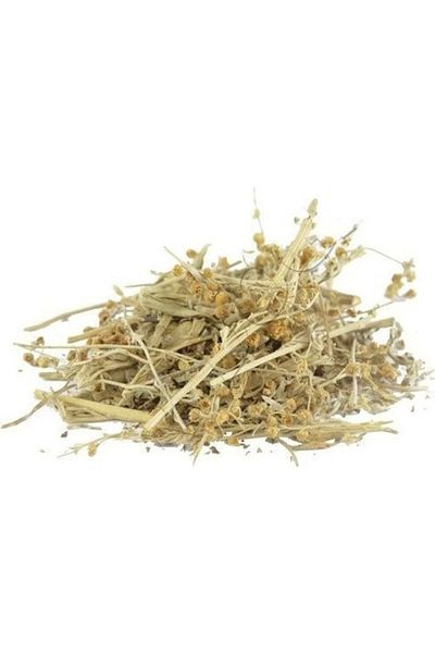 DVD Lokman Aktar Wormwood Herb 20 Gr (Pack-Plant) 1 Piece