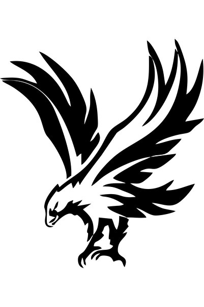 Birim Matbaa ملصق سيارة AVLANMAYA READY EAGLE (I17X19 سم)