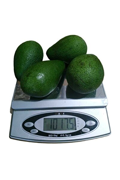 Alanya Özlem Avokado Dalından Taze Net En Az 1 Kg (3-6ADET ARASI)