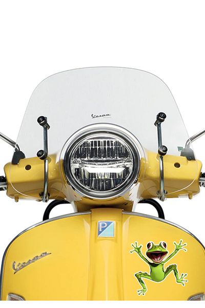 MegaSticker Autocolant 14x12 Cm Broască Naughty - Mașină, Motocicletă, Cască, Laptop, Geam
