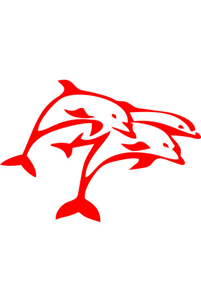Birim Matbaa Ziplayan Dolphins Nabiz2 Auto Sticker(18X25Cm)