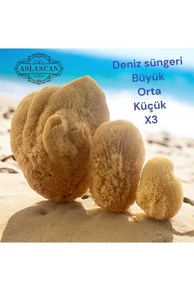 ASLANCAN Sea Sponge Set of 3 - large, Medium and Small