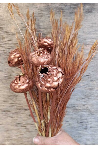 kutmen زهرة جافة مذهبة نحاسية من أرا دال (تروبيك)