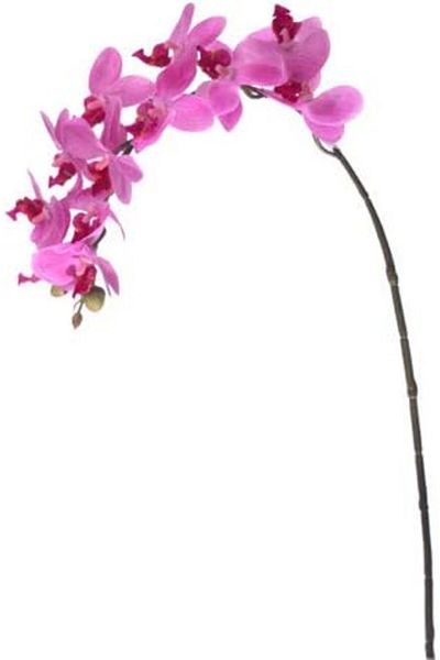 STOREMAX MU-ARTSHOP Flora Τεχνητό Λουλούδι Ορχιδέα 57,5 cm tnca 871301