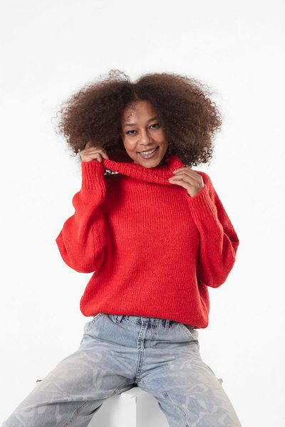 Figo Turtleneck Raglan Sleeve Ribbed Knitwear Sweater