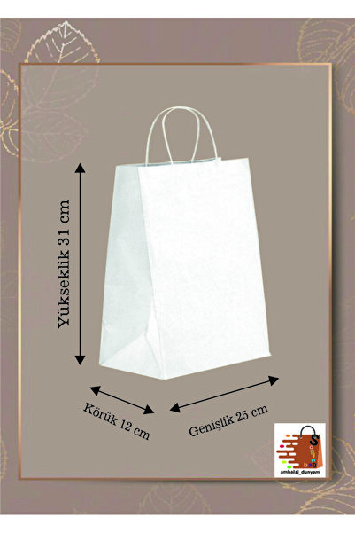 AMBALAJDÜNYAM Burgu Saplı Beyaz Kraft Kağıt Çanta 25x12x31 - (10 Adet) (Beyaz...