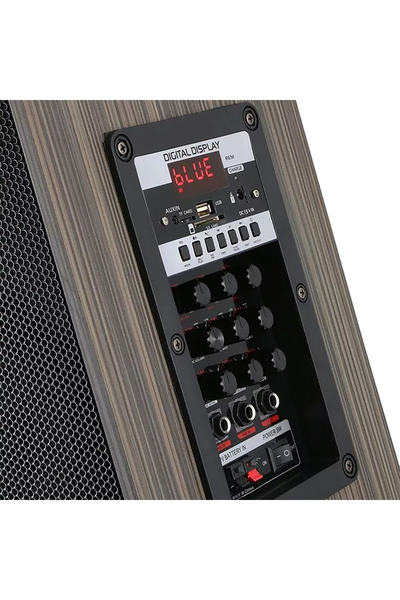 Genel Markalar LT-908 Dijital LED Göstergeli FM Radyolu Mikrofonlu TWS 8 inç Stereo Bass Kablosuz Karaoke Hopa