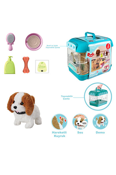 Vardem Hareketli Köpek ve Işıklı Sesli Şeffaf Kafes Seti