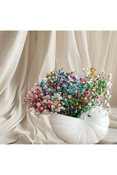 Dekora Çiçek الحلزون الملون Cipso، ديكور، زهرة جافة، هدية، حلية كائن حامل الشموع