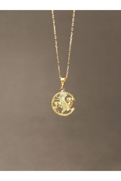 TREND 925 ayar gümüş kanatlı aslan kolye, antik aslan sembol kolye, hediye gümüş kolye