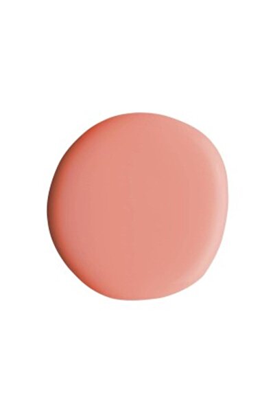 Alix Avien Oje 48 - Yüksek Pigmentli Uzun Süreli Kalıcılık Hızlı Kuruma - Nail Lacquer 48