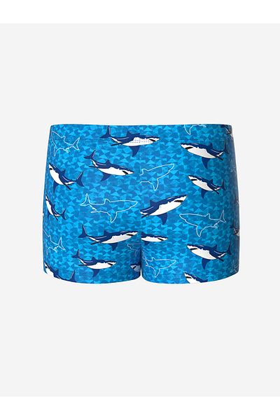 LC Waikiki Blue Quick Dry Uv Protection Boy's Boxer Swimwear